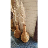 kit com 10 Plumas Natural  Capim dos Pampas