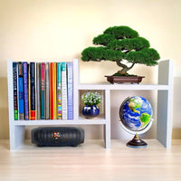 Nicho Organizador de Mesa em MDF