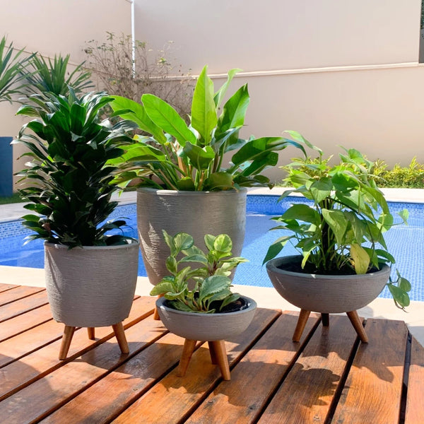 Kit 4 Vasos Decoração Tripé de Madeira para plantas