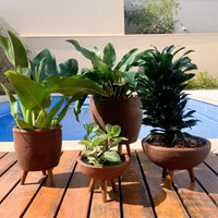 Kit 4 Vasos Decoração Tripé de Madeira para plantas